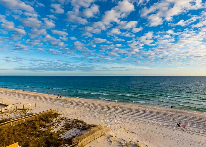 Legacy 502 Gulf Shores